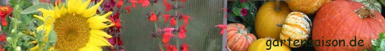 gartensaison.de - Gartentipps, Gartenberatung, Pflanzenwissen, Pflanzenpflege, Gartenarbeiten, Gartenb�cher