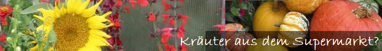 Kr�uter aus dem Supermarkt?