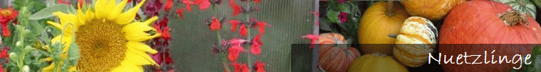 Nuetzlinge 