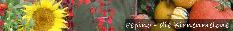 Pepino - die Birnenmelone 