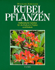 Kübelpflanzen - Informationen und Rezensionen bei Amazon